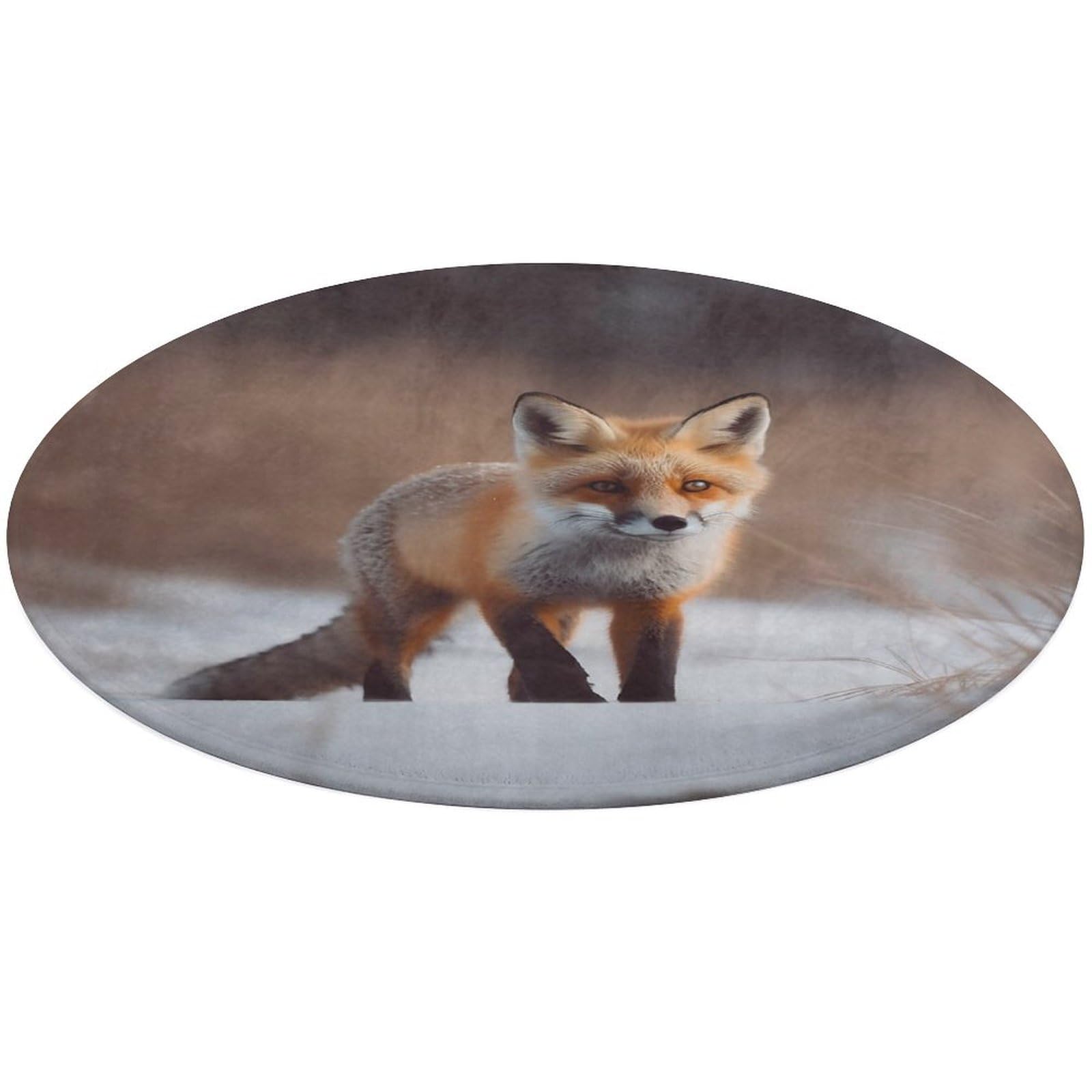 Alfombra pequeña lavable y fácil de limpiar para cocina con diseño de zorro