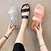 xsby Women'S Jelly Slippers Fashion Beach Flat Cute Summer Slippers Pink 37