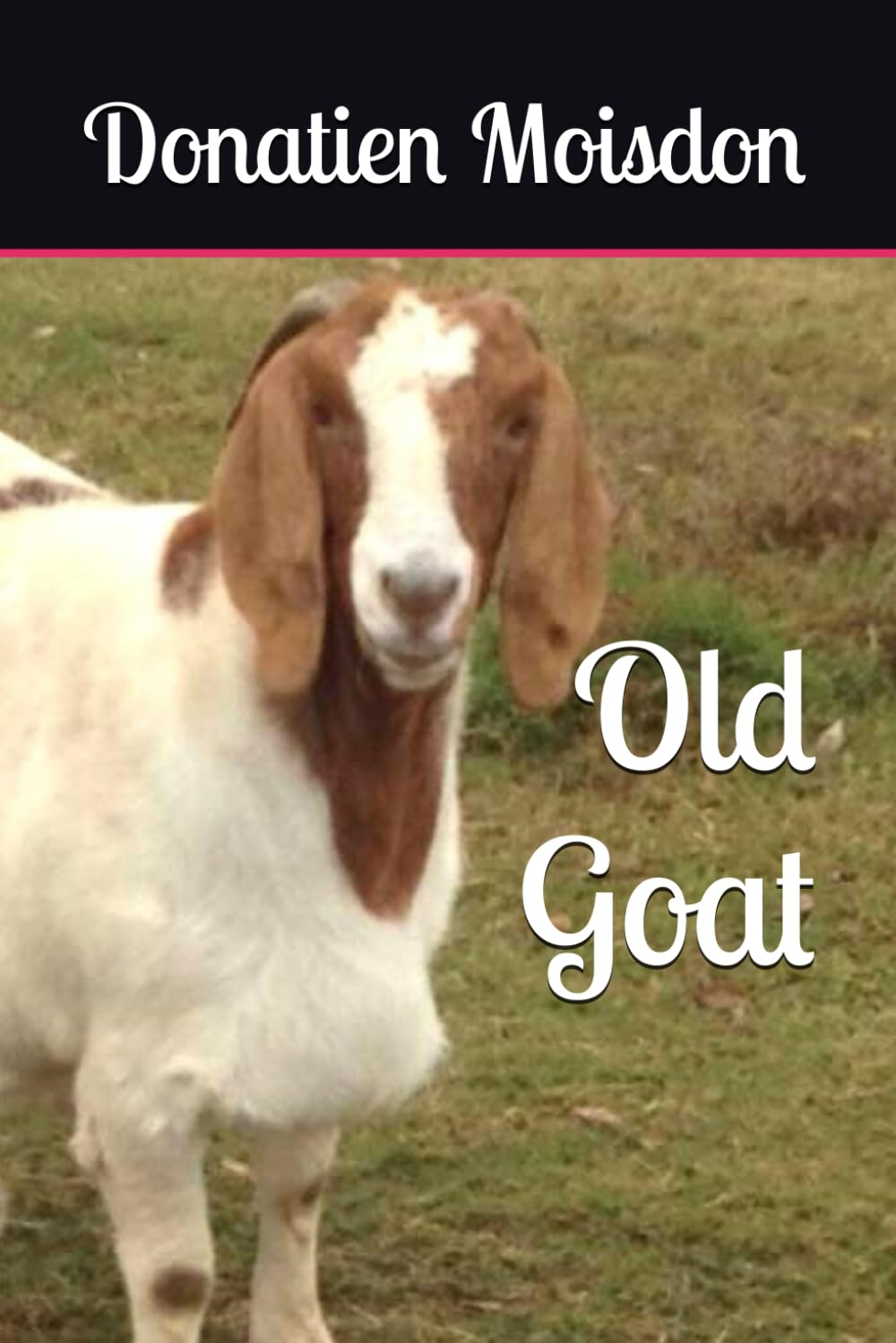Old Goat