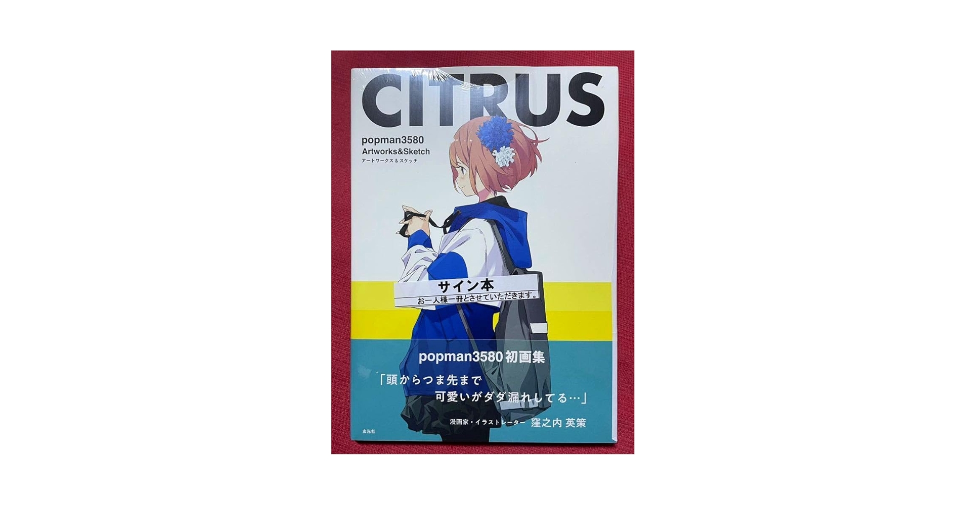 popman3580 直筆サイン入りパネル popman3580 画集CITRUS 直筆サイン本、キャンバスアートセット
