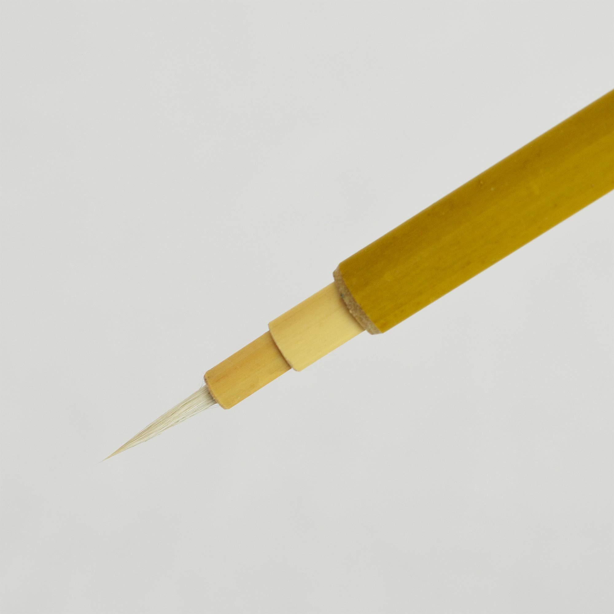 Blizzard Lighting Tournado Wimax Qzoom