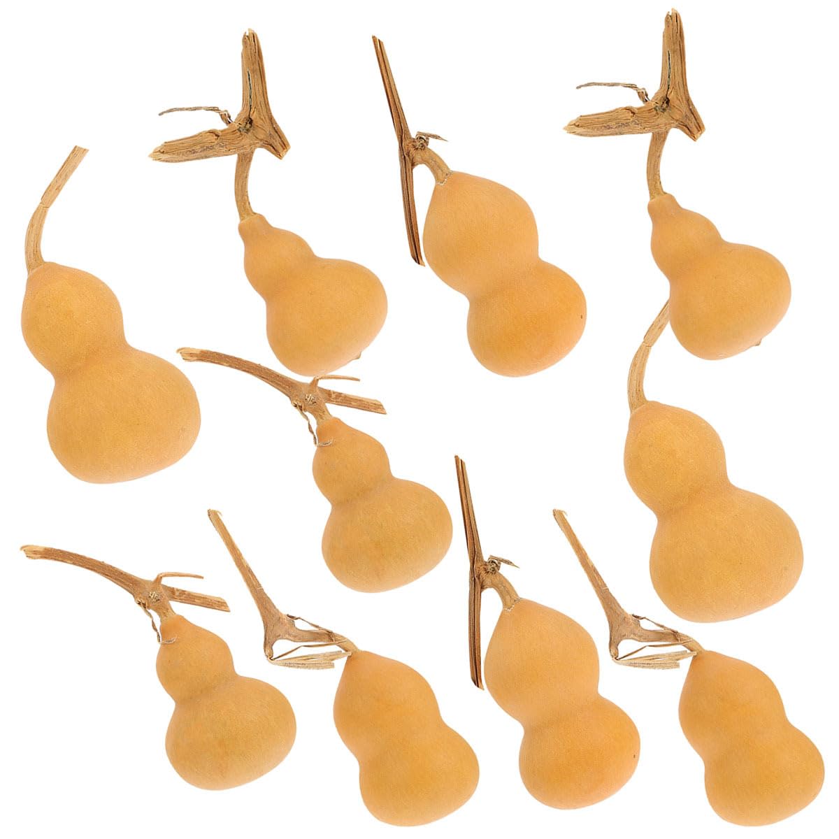 NUOBESTY 30 piezas de mini calabaza Hulu decoración del hogar adorno petaca canasta de relleno de accesorios de fotografía Wu Calabash natural calabaza de escritorio manualidades hogar calabaza