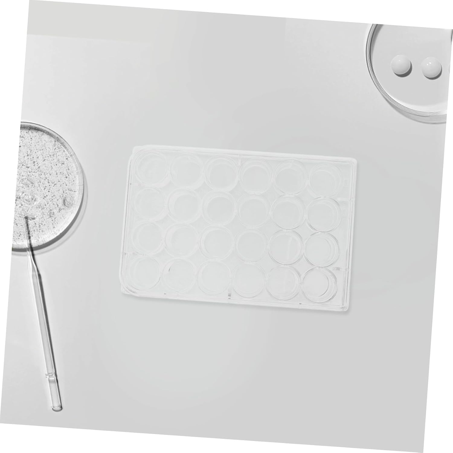 2pcs Lab Petri Dishes Plastic Culture Plates Sterile Cell Culture Disks for Efficient Screening and Biomedical Research