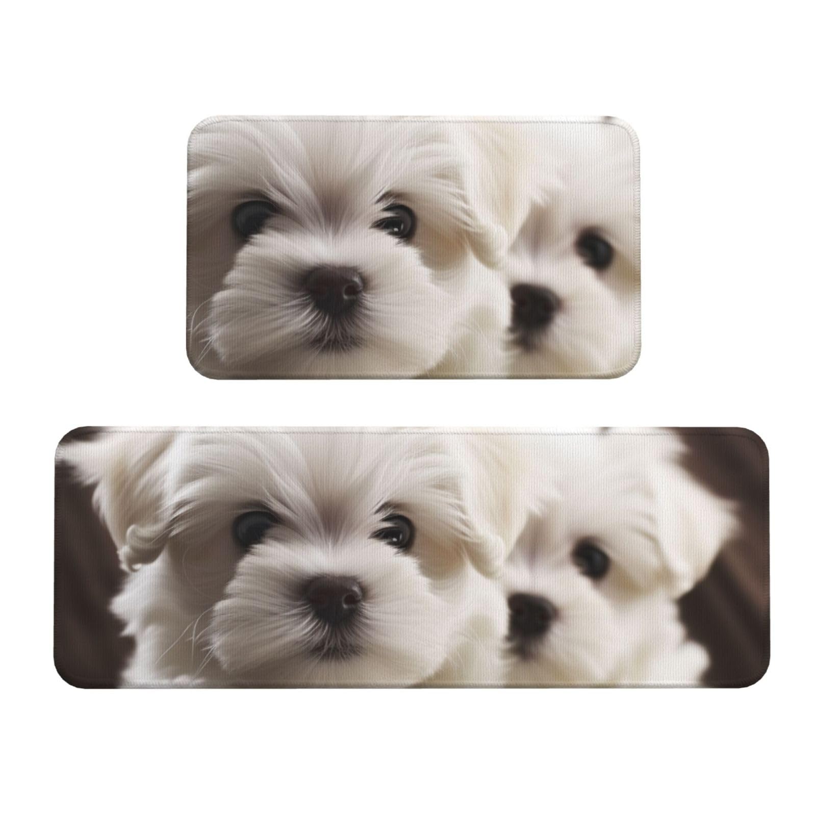 Tapis de cuisine motif chiot maltais haut de gamme rembourré et ultra absorbant