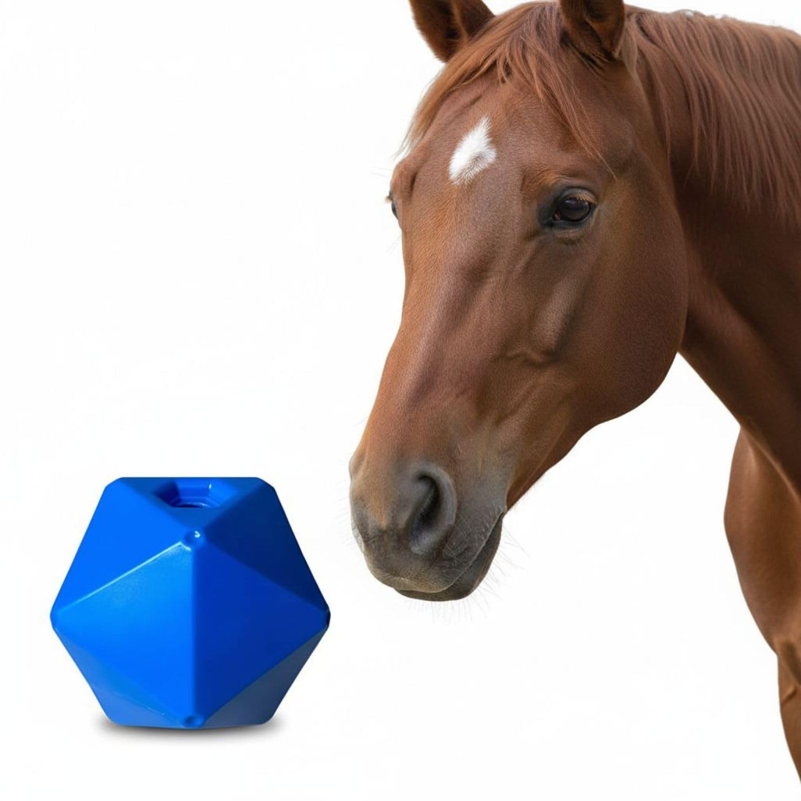 Mangiatoia per cavalli, 9 in / 23 cm, blu, palla da gioco per pascolo per noia, materiale PP per alimenti, divertente antistress per cavalli, stabile interattiva