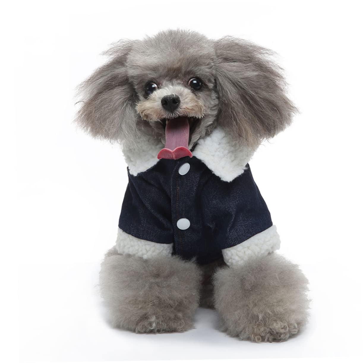 YARNOW 2pièces Manteau Hiver pour Chien Coton Respirant Chaude Et Coupe-Vent pour Animaux Vêtement Stylé Et Confortable Beige