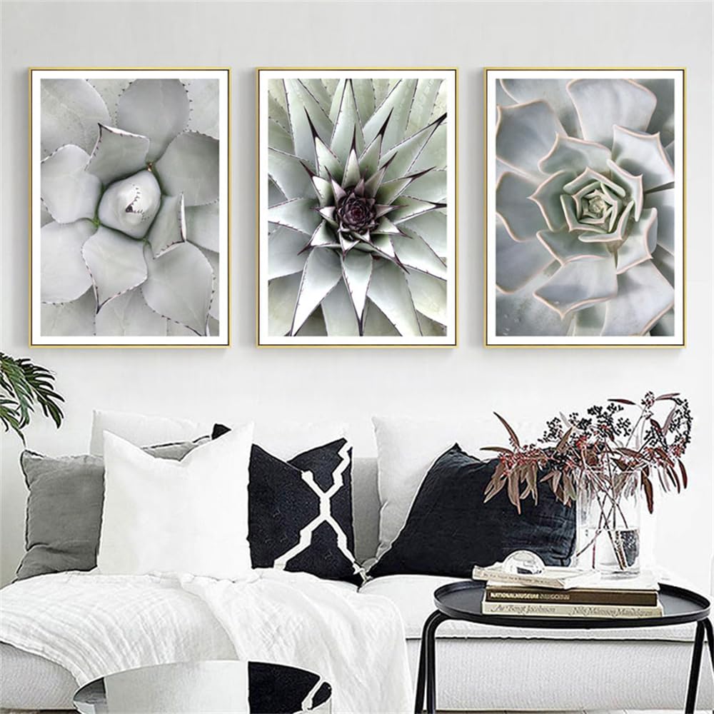 WBYZAC Wall Pictures-Wall Art Freash Succulent Canvas Painting Green Plant Poster and Prints Dining Room Modern Plant Bedroom Kitchen Hotel Decor Artwork-30 * 50cm*3PCS (No Frame)