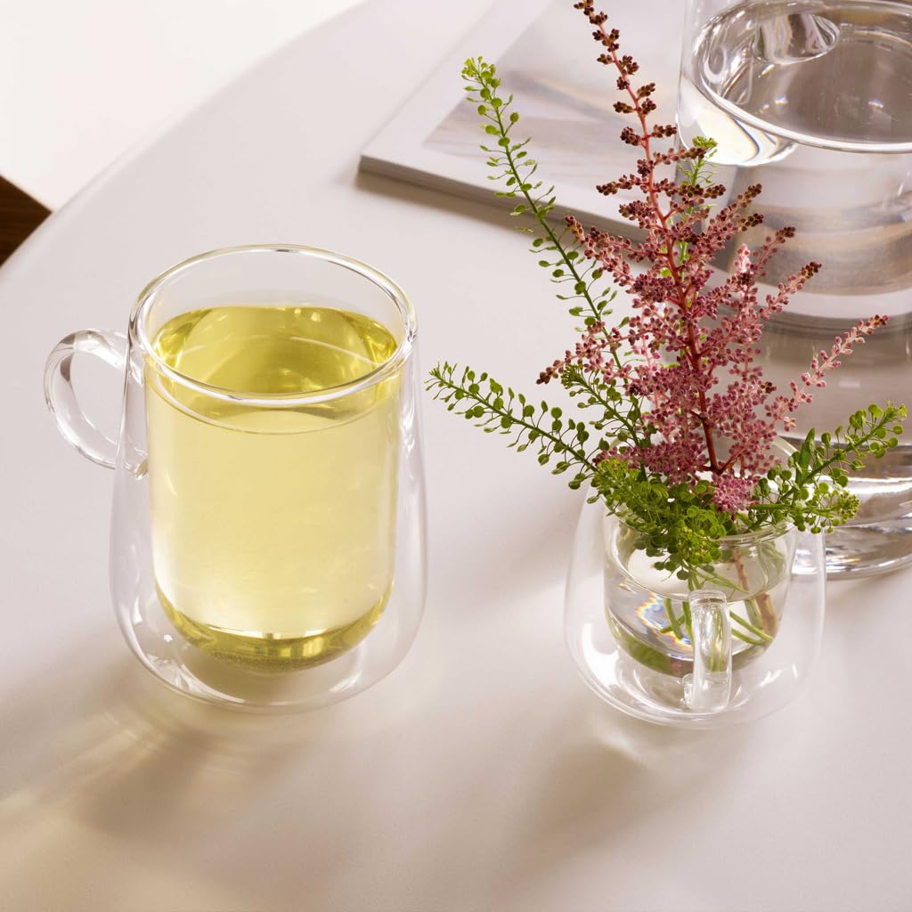 Villeroy & Boch – Artesano Hot&Cold Beverages vaso Latte-Macchiato, set de 2 vasos de doble pared para bebidas frías y calientes, vidrio borosilicato, apto para lavavajillas, apto para microondas | Vasos de vidrio de borosilicato de doble pared, aptos par