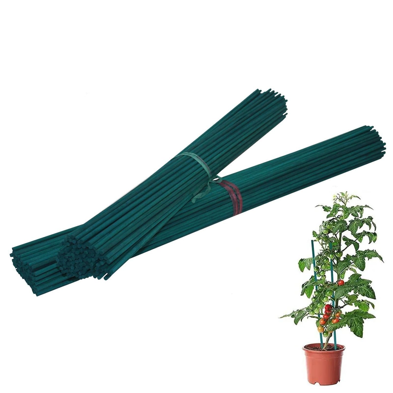 Oakland Gardens Green Flower Sticks Bamboo Split Garden Canes Plant Support 12" 18" 24" 30" 36"(36" Split Canes x 1000)