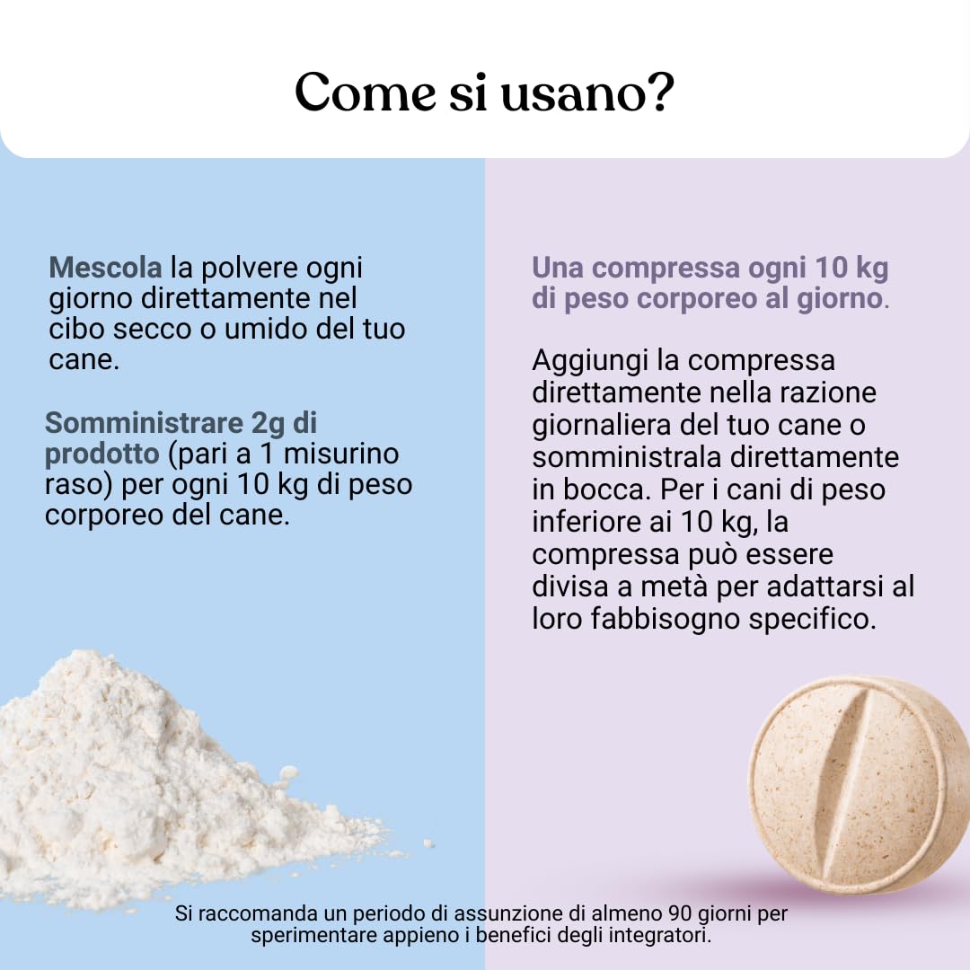 Bau Probiotici per Cani + Polvere Denti Antiplacca e Tartaro – Supporto Digestivo & Igiene Orale Totale – Fermenti Lattici, Alito Fresco e Riduzione Placca, Intestino Sano