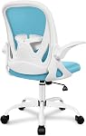 Président du Bureau Primy chaise de bureau ergonomique avec support Lombaire réglable et hauteur, chaise de bureau pivotante respirante Mesh Computer avec accoudoirs Flip up