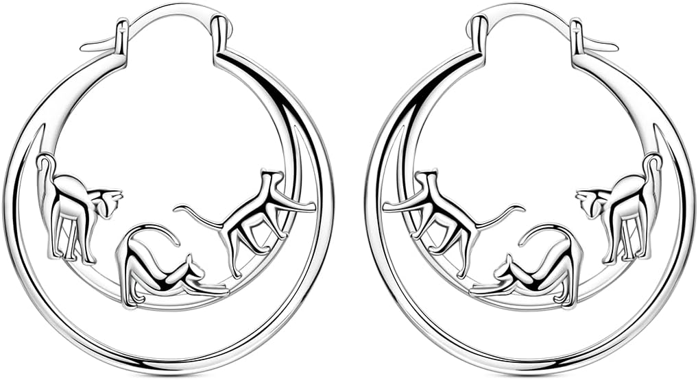 NARMO 925 Sterling Silver Hoop Earrings for Women Hypoallergenic Lightweight Simple Huggie Hoop Earrings Twisted Hoop Earrings Colorful Cubic Zirconia Hoop Earrings Rainbow Hoop Earrings