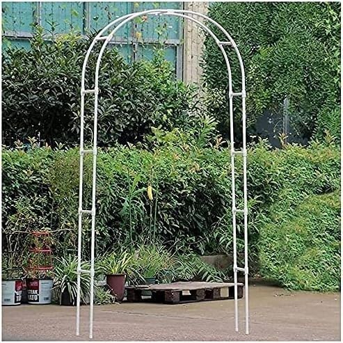 Arche de jardin en métal tubulaire pour redresser et guider les rosiers grimpants