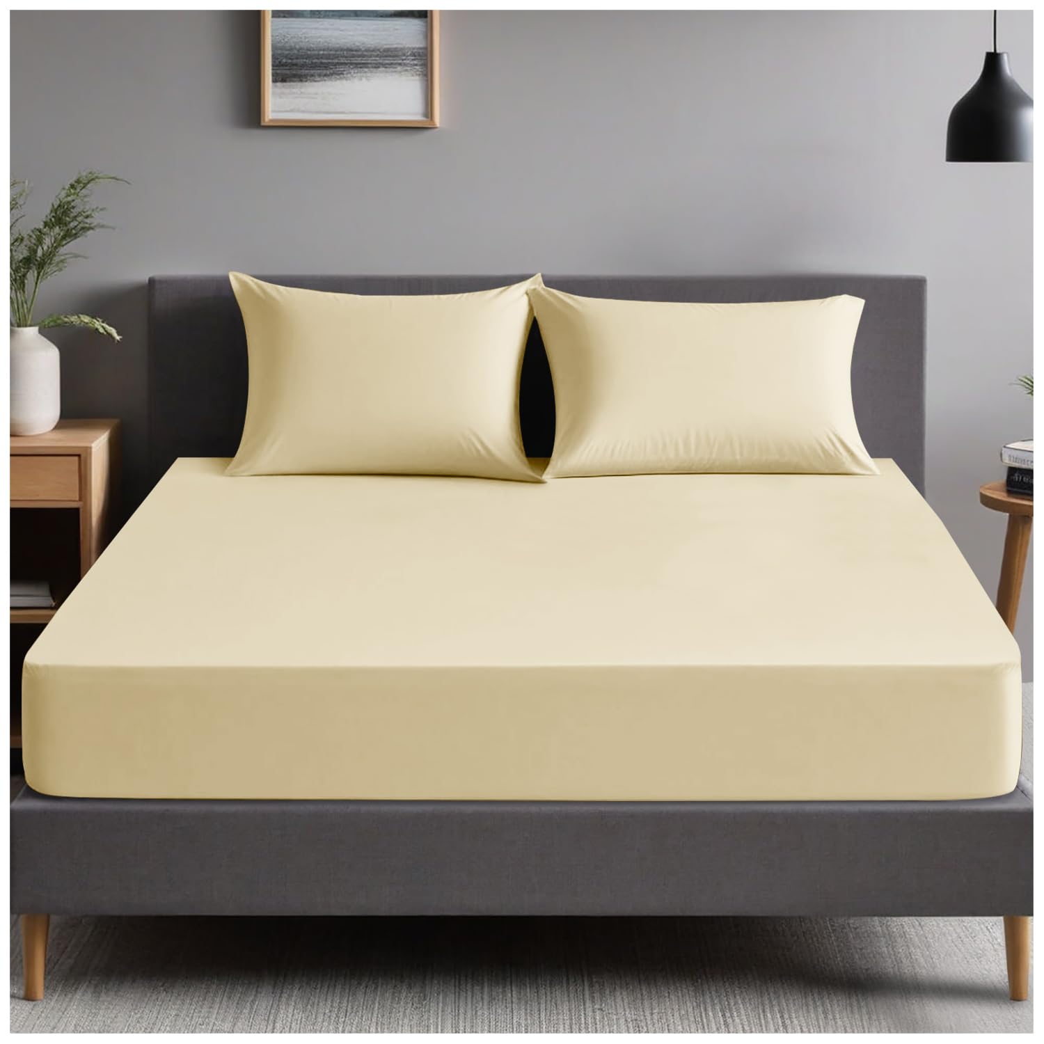 GC GAVENO CAVAILIA | Plain Dyed Bedding Bedsheet - Ultra Soft 4Ft Fitted Bed Sheet - Non Iron Polycotton Percale Sheets | Cream