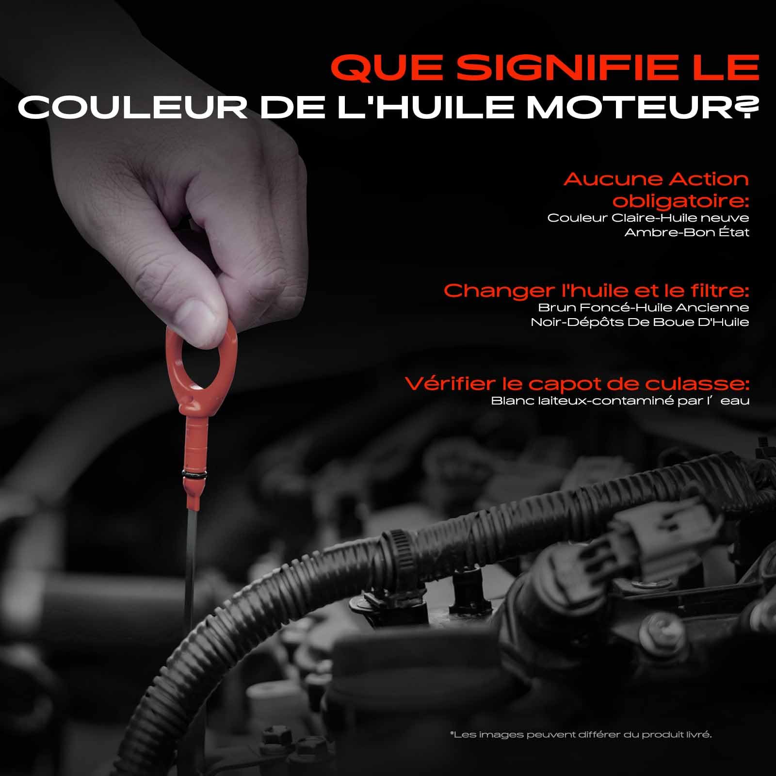 Frankberg Jauge d'huile Jauge d'huile Essence 06A115611C | Compatible avec: O.c.t.a.v.i.a I 1U2, Golf IV Variant 1J5, B.o.r.a 1J2, Nouvelle Coccinelle 1C1 9C1, B.o.r.a Variant 1J6