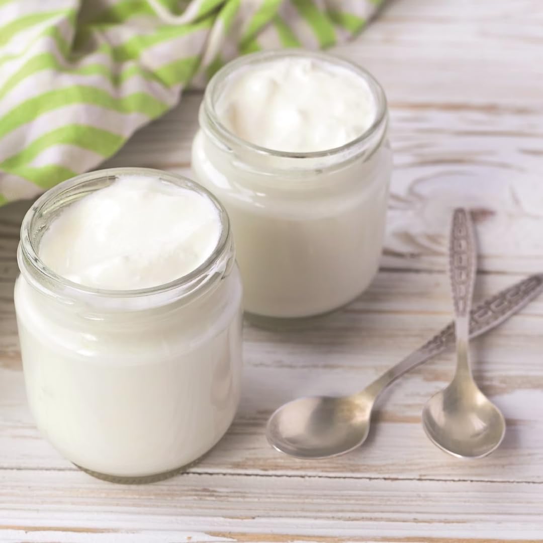 Aspendos Joghurt nach griechischer Art, Köstliches Milchprodukt 450 Gramm X 10 Stück Joghurt