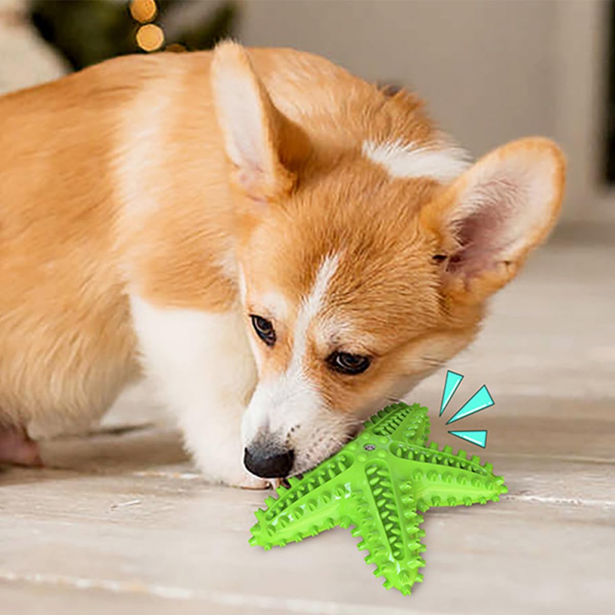 3 Piezas mordedores para Estrellas de mar, Juguete para Perros, Juguete para Perros Delicioso, Juguete de Cepillo de para Perros, Juguete para Masticar para Mascotas, Accesorios para