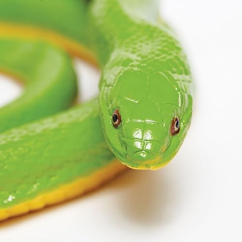 Miniatura 4 de Safari Ltd. Figura de serpiente verde áspera, figura detallada de plástico de 36 pulgadas, divertido juguete educativo para niños, niñas y niños a