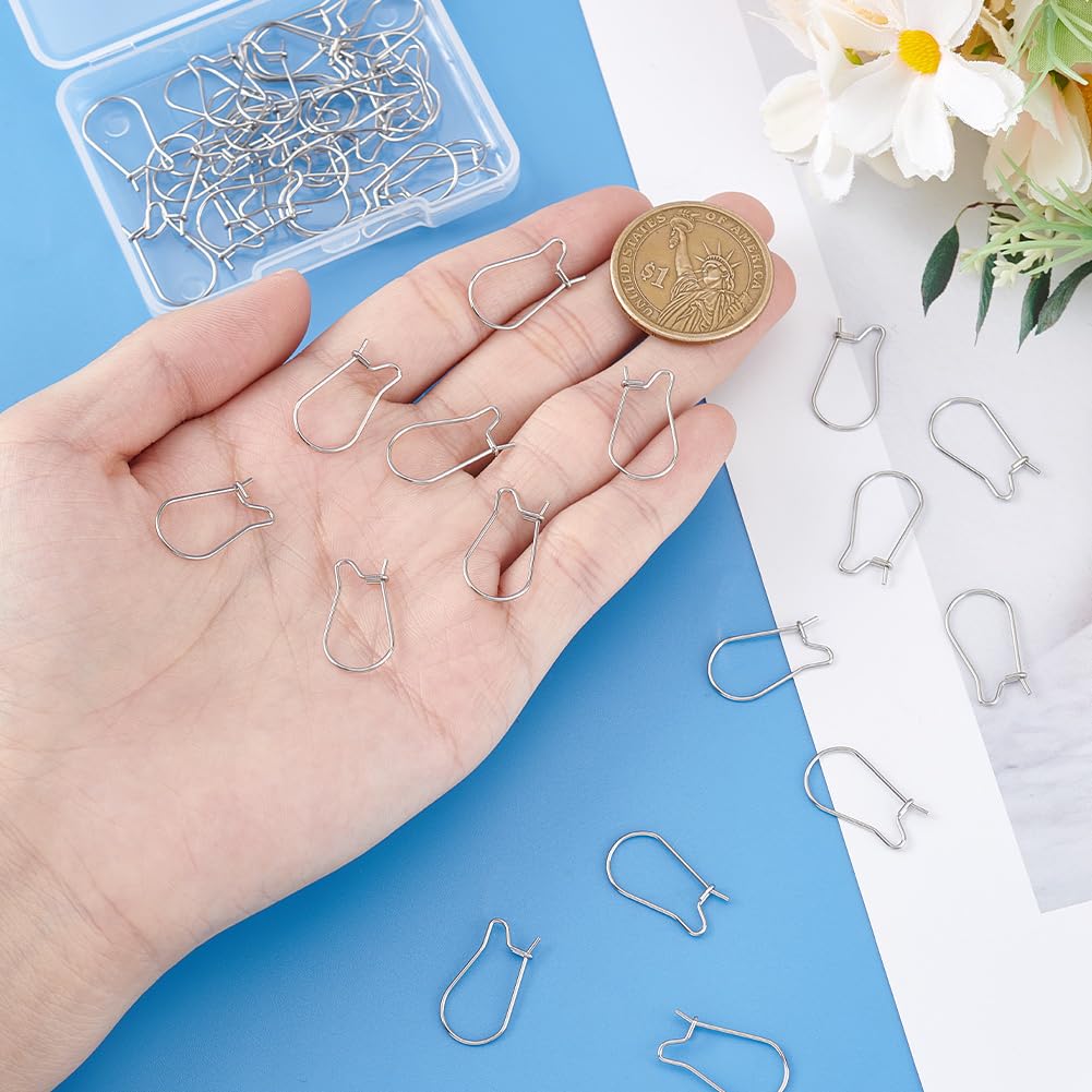 10pcs of 304 Stainless Steel Silver Ear Wire Earrings Hooks(no. STG977) - Israel
