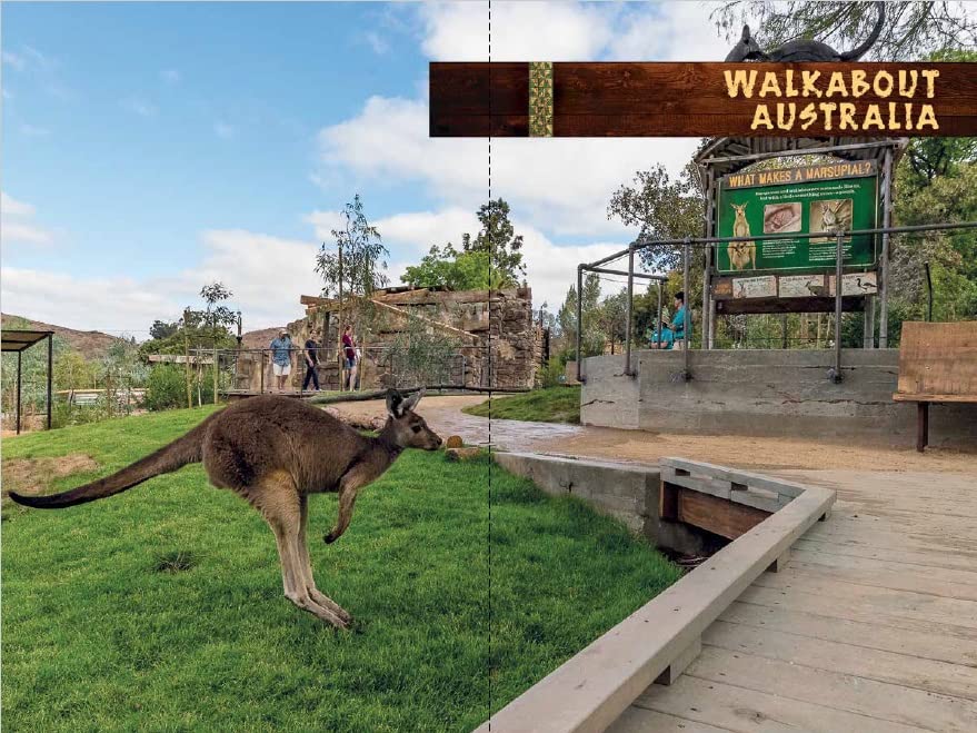 San Diego Zoo Safari Park Official Guidebook - Image 7