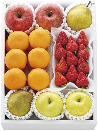 2025NΕ ~̃C`SƏ{̉ʕl 2512279