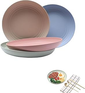 HZZXCH 4PCS Camping Plates Plates Reusable Family Dinner Plates Lightweight Plate with Camping Picnic Plates Unbreakable Dinner Plates for Safe from Dishwasher and Microwave