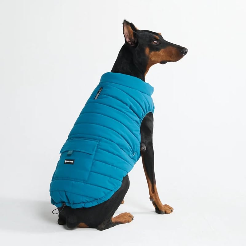 Casaco de Inverno para Cães Spark Paws com Forro de Fleece e Proteção contra Vento DW221047