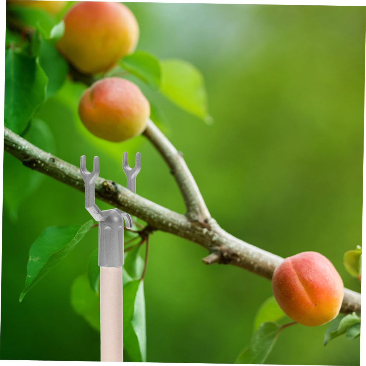 45stücke Zweigstützen Für Obstbäume Langlebige Und Wetterfeste Pflanzenstützen Unterstützung Von Gartenpflanzen Und Früchten Für Innen Und Außenanwendungen