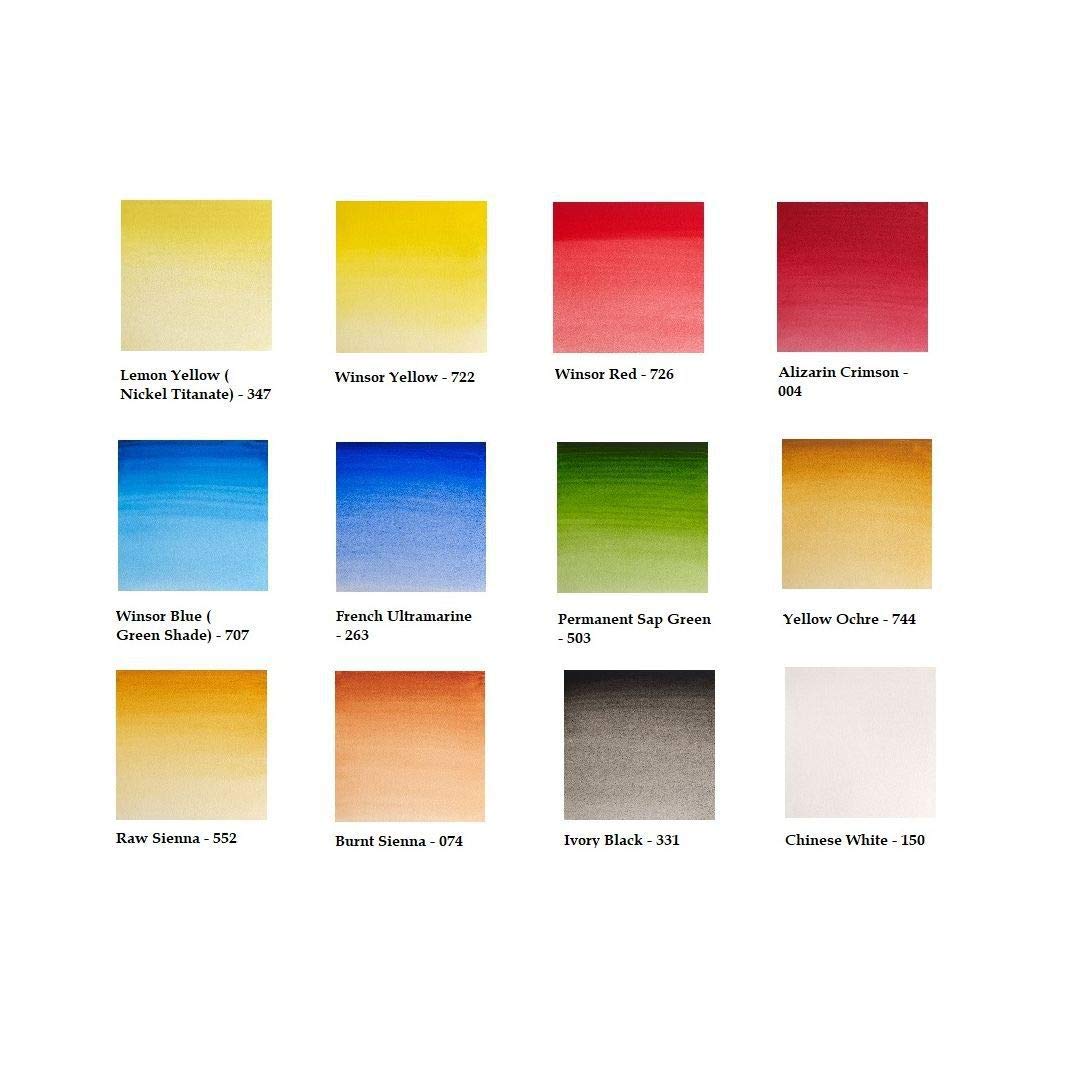 Winsor &Newton Artists' Water Colour Black Box, 12 halbe Näpfchen feinster Aquarellfarbe