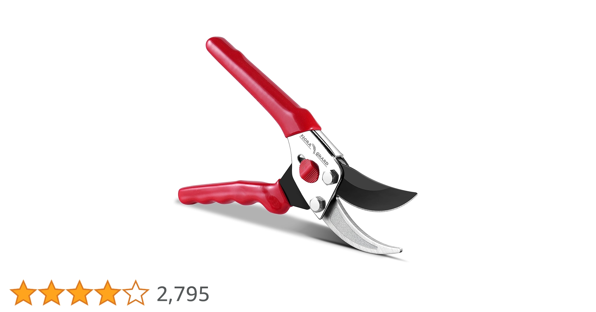 61FxPQidfaL.jpg_BO30,255,255,