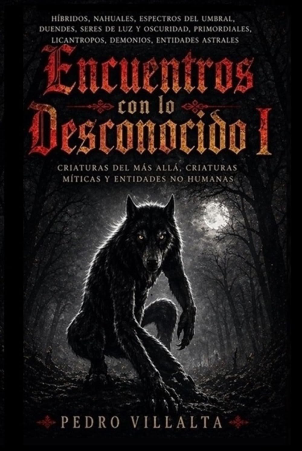 Encuentros Con Lo Desconocido Vol. 1: Encuentros con entidades ocultas que desafían la realidad humana