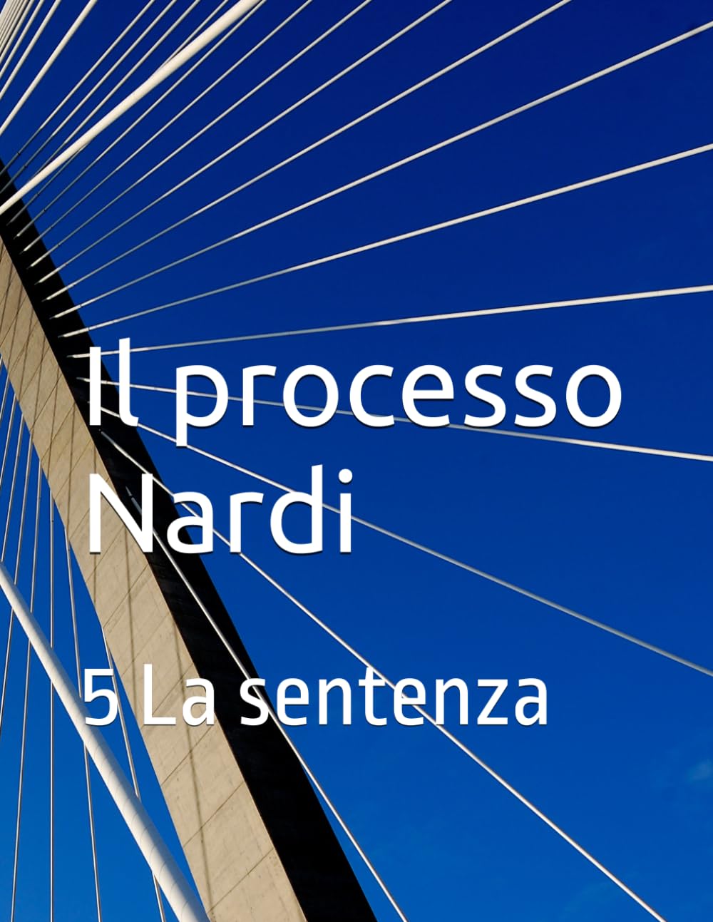 il processo Nardi: 2. i testimoni (il Processo Nardi e le sue storture)