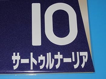 ドウデュース　2023 有馬記念　出走馬ミニゼッケン 2023年 有馬記念（GⅠ） | ドウデュース | JRA公式 - YouTube