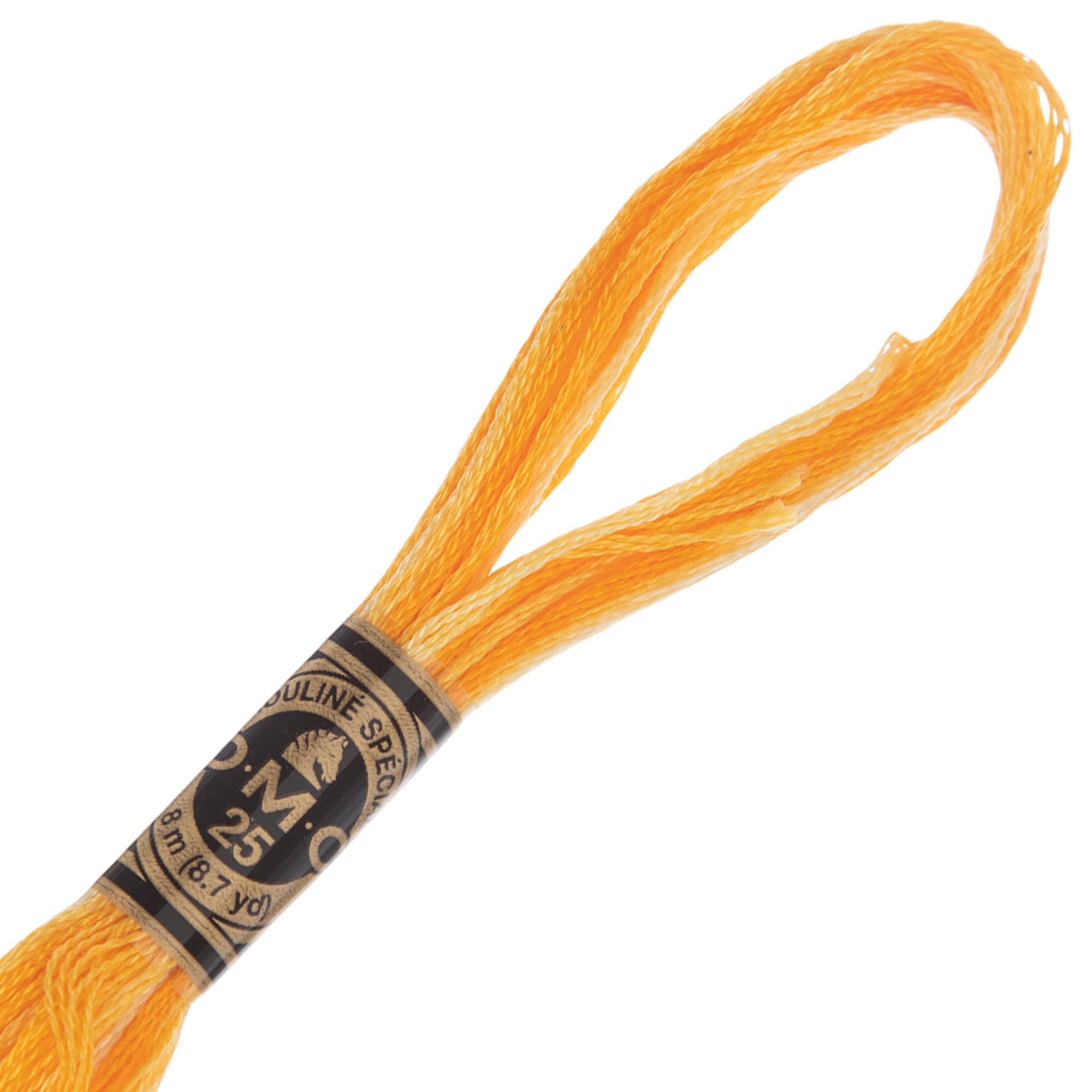 Hobby Lobby DMC Cotton Embroidery Floss - 90 Variegated Yellow, Set of 12