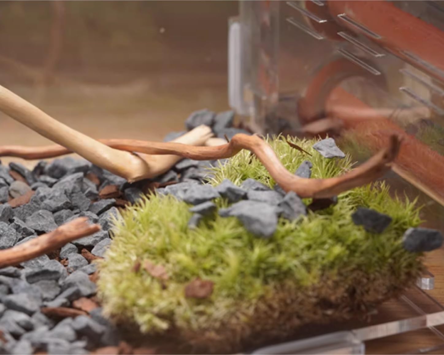 Ameisenfarm für Erwachsene Ameisenfarm-Nest Für Lebende Ameisen, Pädagogisch Wertvoll, Mit Wasserturm, Pflegeraum Und Umfassender Beobachtung Ameisen Terrarium