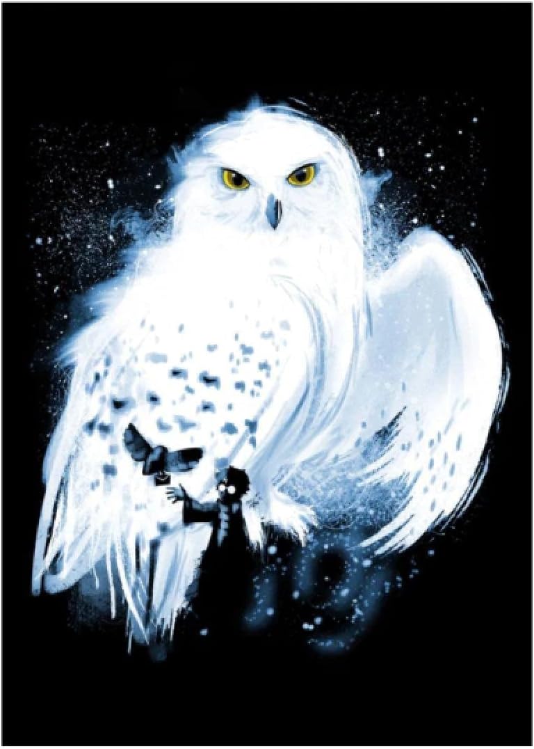 Amazon ウォールアートキャンバス絵画ポスタープリント白いフクロウ空飛ぶ動物の壁の写真モダンなリビングルームの装飾 40x60cm フレームレス ウォールステッカー オンライン通販