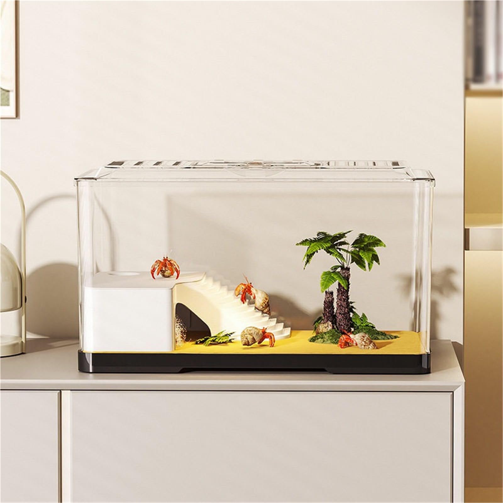 Acuario para Tortugas Tanque de observación Tortugas Transparente: Acuario Escritorio for alimentación y(Grande)