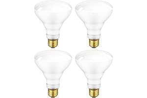 BR30 Indoor Recessed 65W Dimmable Incandescent Flood Lights