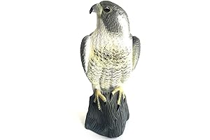 Flying Rabbit YOFIT Bird Scarecrow Fake Horned Hawk Decoy: Your Garden's Avian Protector