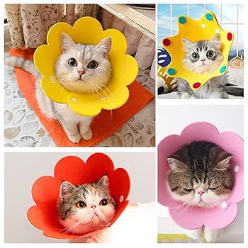 エリザベスカラー 猫 犬 COTOREAL ペット用品 傷口保護 傷舐め防止 61Fxr-aHSjS._UF350,350_QL80_.jpg