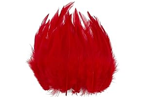 Rustic Red Rooster Feathers for Exquisite Creations
