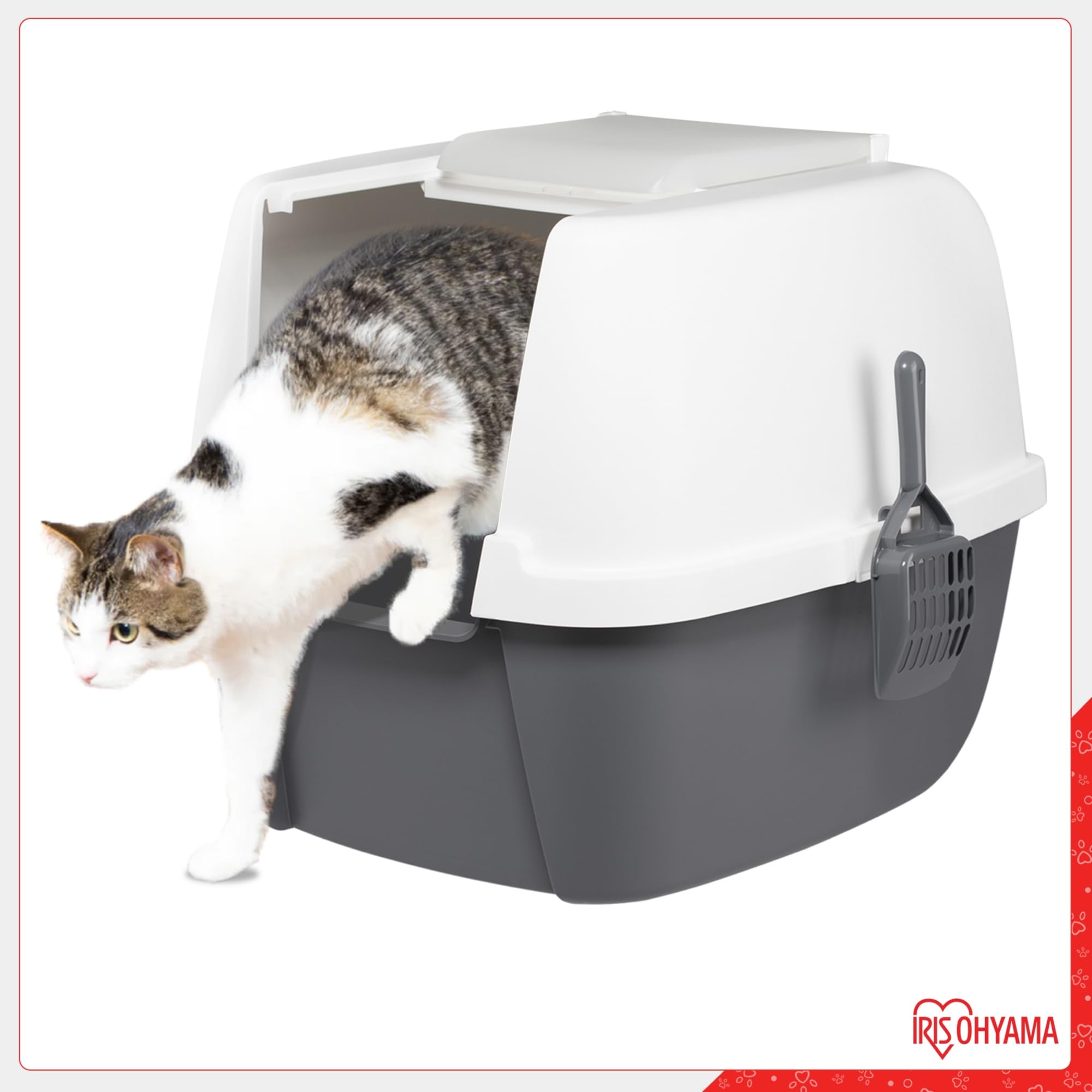 Iris Ohyama Lettiera per Gatti with Scoop, Grigio, Antispruzzo, Facile da pulire, Chiuso, Per Gattini, Gatti Adulti, Conigli, Grande, Senza BPA, Lato alto, Cappuccio staccabile, CLH-17J