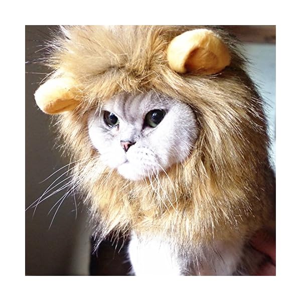Idepet dog cat lion mane - realistic funny lion mane for dogs - complementary lion mane hat for dog cat costumes,halloween lion mane costume for cat & dog (cat lion mane) - image 3