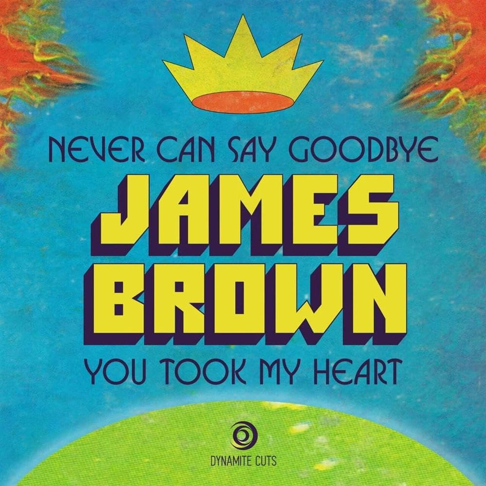 Never Can Say Goodbye/You Took My Heart [7" VINYL]
