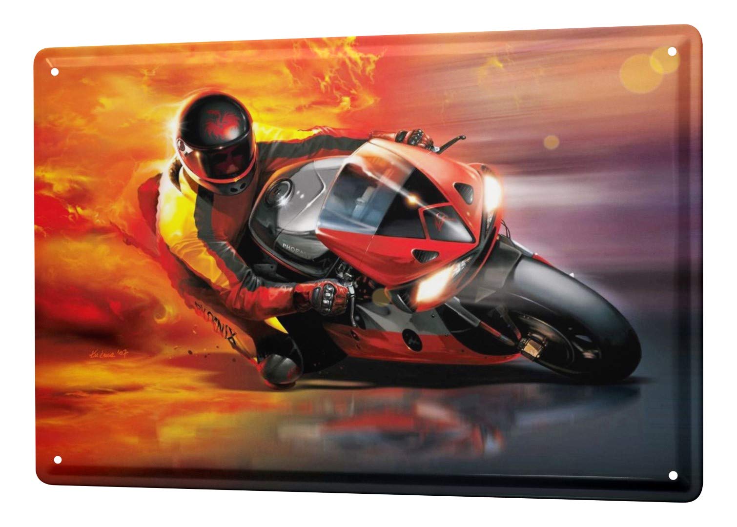 LEotiE SINCE 2004 Motorcycle Garage Tin Sign Metal Plate Poster Plaque racing flames Metal Plate 8X12