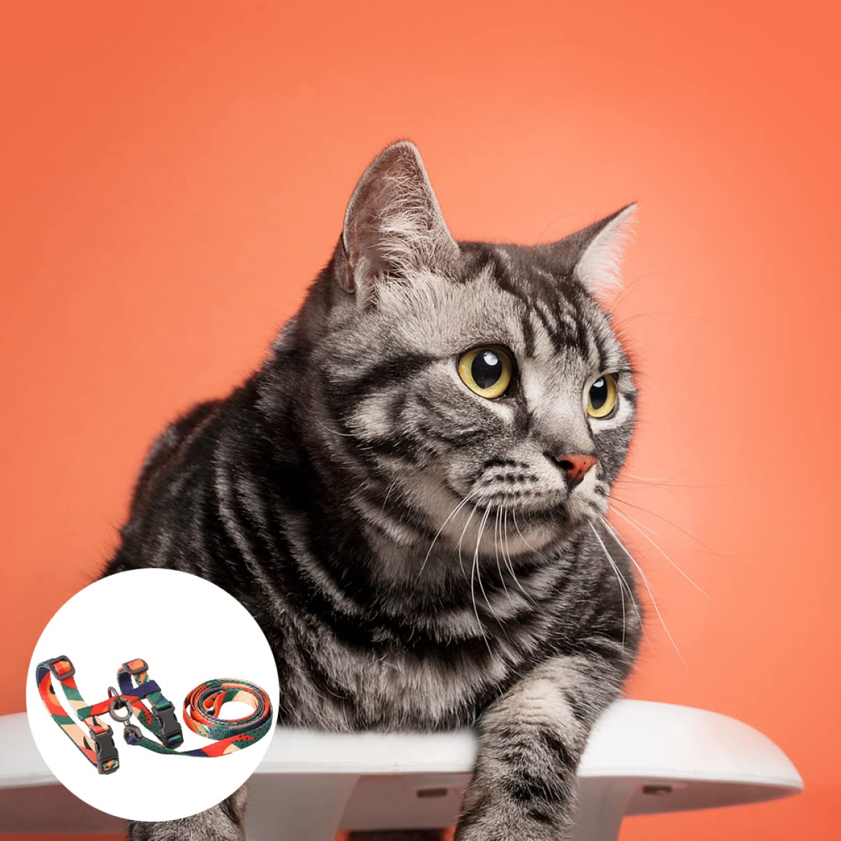 DOITOOL 3pezzi Per Gatti Con Guinzaglio Pet Supplies Per Passeggiate Sicure e Confortevoli Design Per Massima Libertà Di Movimento