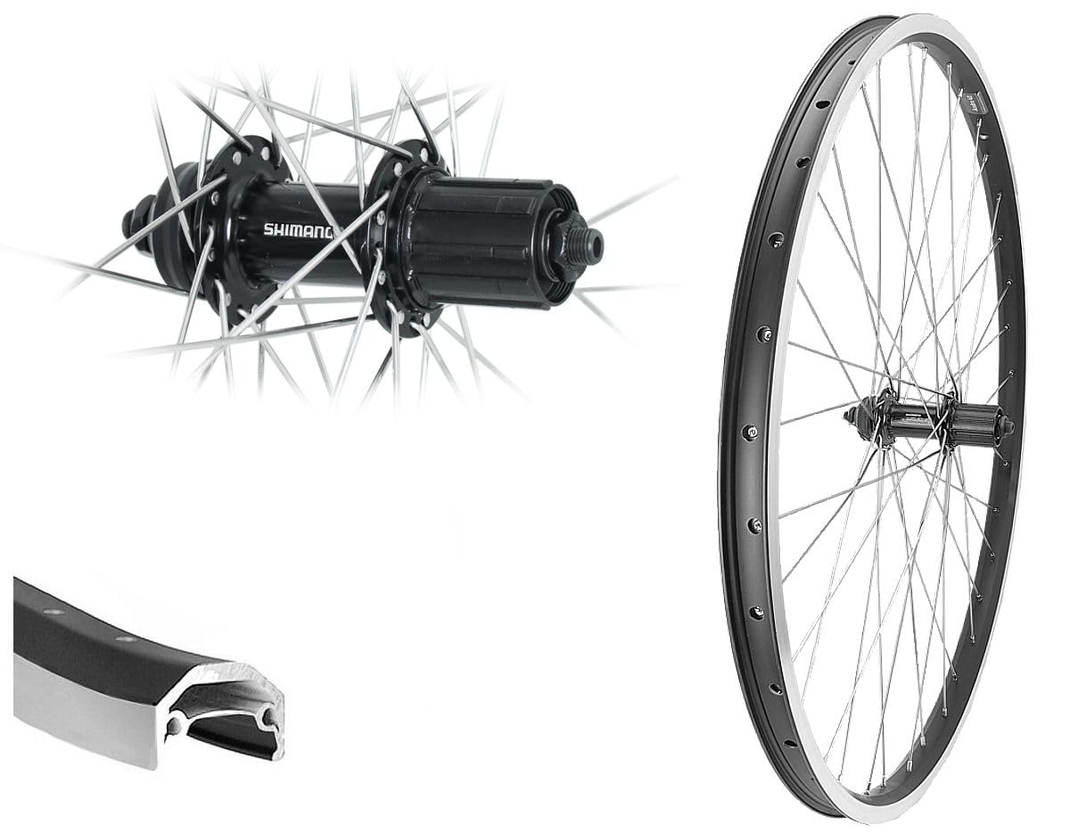 28“ 29" Hinterrad Andra 40 Disc schwarz Shimano QC400 8,-9,-10 Fach Industrielager verstärkt bis 180 kg Laufrad 622-25