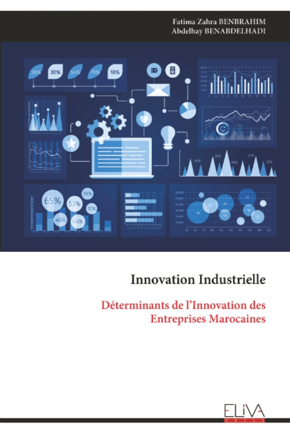 Innovation Industrielle: Déterminants de l’Innovation des Entreprises Marocaines
