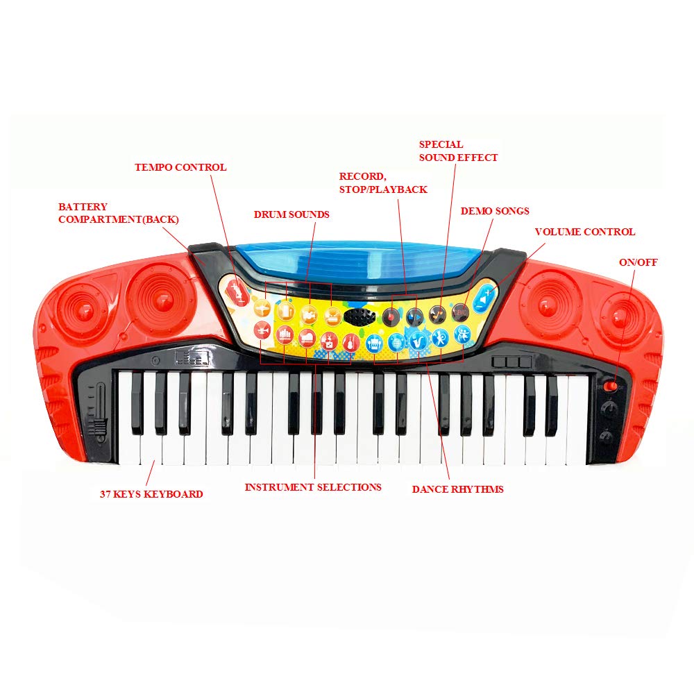 その他 Little Musician: Do Re Mi in the Key of C [DVD] Little Musician: Do Re Mi in the Key of C [DVD]
