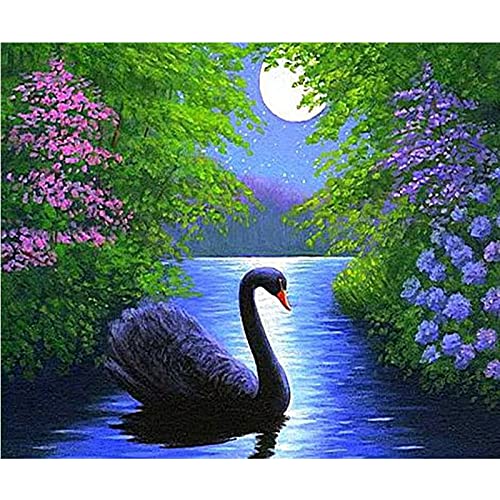 Peinture Diamant 5D Kit Complet 40x80 | Broderie Strass Point de Croix Lune